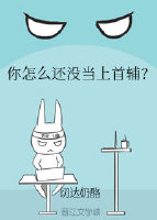 你怎么还没当上首辅？