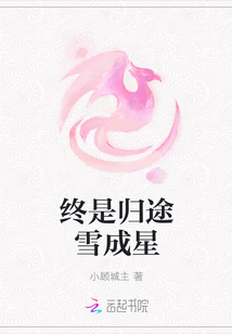 终是归途雪成星