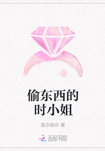 偷东西的时小姐