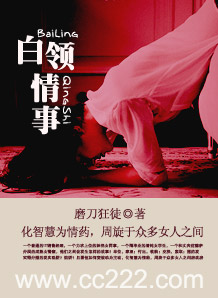 白领情事
