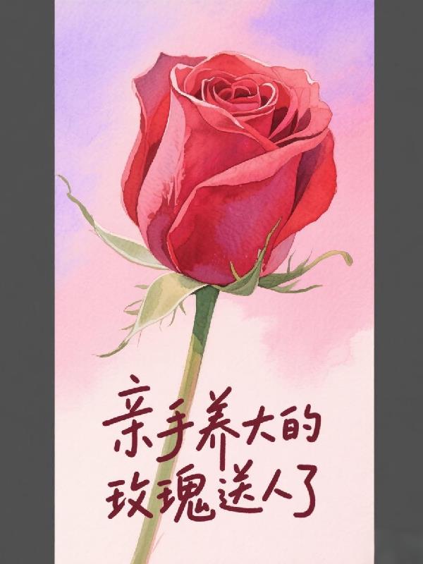 亲手养大的玫瑰送人了