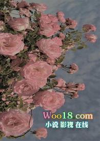 【系统】被迫攻略