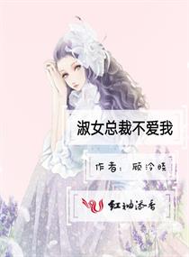 淑女总裁不爱我